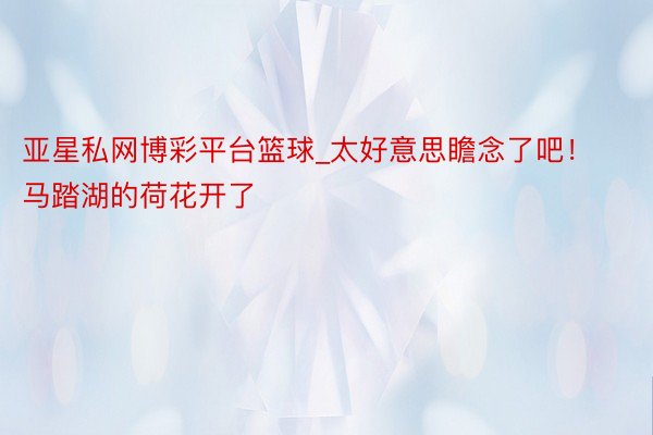 亚星私网博彩平台篮球_太好意思瞻念了吧！马踏湖的荷花开了